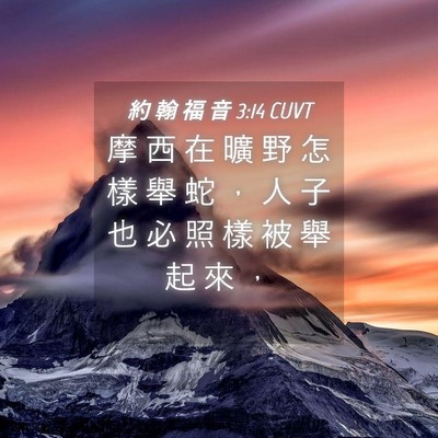 Picture 04 - 約 翰 福 音 3:14 CUVT - 摩 西 在 曠 野 怎 樣 舉 蛇 ， 人 子 - Bible Verse Picture