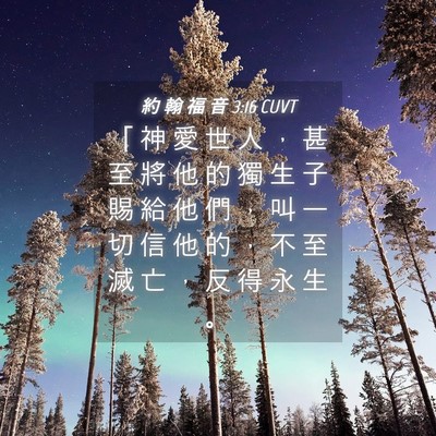 Picture 04 - 約 翰 福 音 3:16 CUVT - 「 神 愛 世 人 ， 甚 至 將 他 的 獨 - Bible Verse Picture