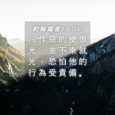 Picture 04 - 約 翰 福 音 3:20 CUVT - 凡 作 惡 的 便 恨 光 ， 並 不 來 就 - Bible Verse Picture