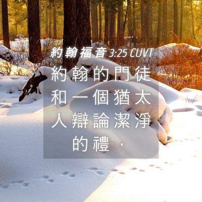 Picture 04 - 約 翰 福 音 3:25 CUVT - 約 翰 的 門 徒 和 一 個 猶 太 人 辯 - Bible Verse Picture