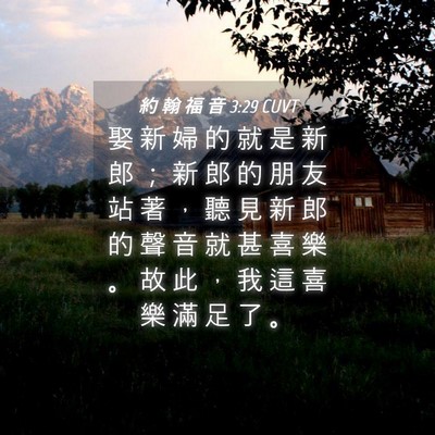 Picture 04 - 約 翰 福 音 3:29 CUVT - 娶 新 婦 的 就 是 新 郎 ； 新 郎 的 - Bible Verse Picture