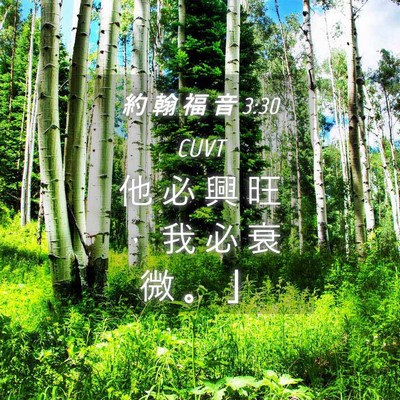 Picture 04 - 約 翰 福 音 3:30 CUVT - 他 必 興 旺 ， 我 必 衰 微 。 - Bible Verse Picture