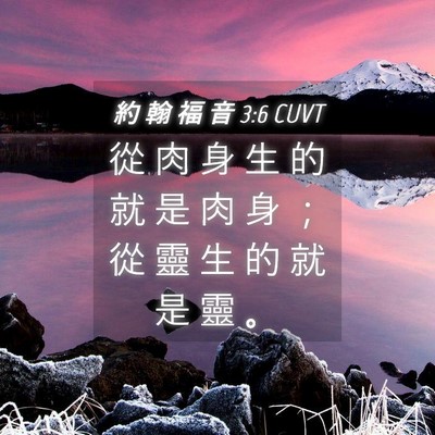 Picture 04 - 約 翰 福 音 3:6 CUVT - 從 肉 身 生 的 就 是 肉 身 ； 從 靈 - Bible Verse Picture
