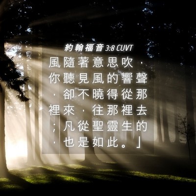 Picture 04 - 約 翰 福 音 3:8 CUVT - 風 隨 著 意 思 吹 ， 你 聽 見 風 的 - Bible Verse Picture
