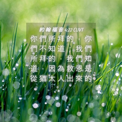 Picture 04 - 約 翰 福 音 4:22 CUVT - 你 們 所 拜 的 ， 你 們 不 知 道 ； - Bible Verse Picture