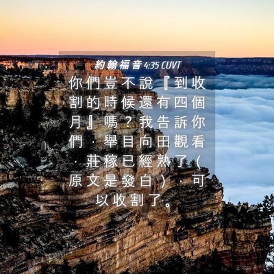 Picture 04 - 約 翰 福 音 4:35 CUVT - 你 們 豈 不 說 『 到 收 割 的 時 候 - Bible Verse Picture
