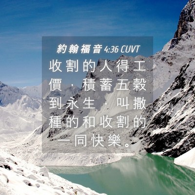 Picture 04 - 約 翰 福 音 4:36 CUVT - 收 割 的 人 得 工 價 ， 積 蓄 五 穀 - Bible Verse Picture
