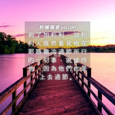 Picture 04 - 約 翰 福 音 4:45 CUVT - 到 了 加 利 利 ， 加 利 利 人 既 然 - Bible Verse Picture