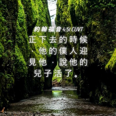 Picture 04 - 約 翰 福 音 4:51 CUVT - 正 下 去 的 時 候 ， 他 的 僕 人 迎 - Bible Verse Picture
