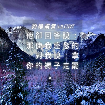 Picture 04 - 約 翰 福 音 5:11 CUVT - 他 卻 回 答 說 ： 那 使 我 痊 愈 的 - Bible Verse Picture