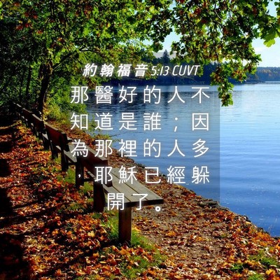 Picture 04 - 約 翰 福 音 5:13 CUVT - 那 醫 好 的 人 不 知 道 是 誰 ； 因 - Bible Verse Picture