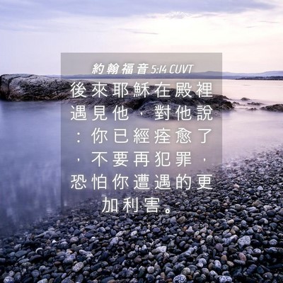 Picture 04 - 約 翰 福 音 5:14 CUVT - 後 來 耶 穌 在 殿 裡 遇 見 他 ， 對 - Bible Verse Picture