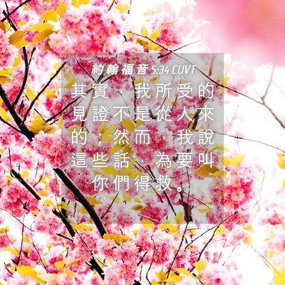 Picture 04 - 約 翰 福 音 5:34 CUVT - 其 實 ， 我 所 受 的 見 證 不 是 從 - Bible Verse Picture