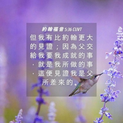 Picture 04 - 約 翰 福 音 5:36 CUVT - 但 我 有 比 約 翰 更 大 的 見 證 ； - Bible Verse Picture