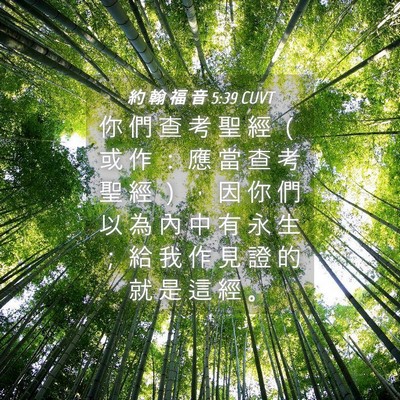 Picture 04 - 約 翰 福 音 5:39 CUVT - 你 們 查 考 聖 經 （ 或 作 ： 應 當 - Bible Verse Picture
