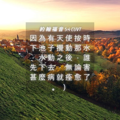Picture 04 - 約 翰 福 音 5:4 CUVT - 因 為 有 天 使 按 時 下 池 子 攪 動 - Bible Verse Picture
