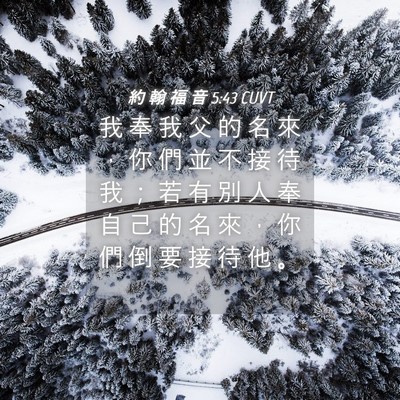 Picture 04 - 約 翰 福 音 5:43 CUVT - 我 奉 我 父 的 名 來 ， 你 們 並 不 - Bible Verse Picture