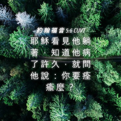 Picture 04 - 約 翰 福 音 5:6 CUVT - 耶 穌 看 見 他 躺 著 ， 知 道 他 病 - Bible Verse Picture