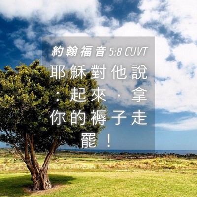 Picture 04 - 約 翰 福 音 5:8 CUVT - 耶 穌 對 他 說 ： 起 來 ， 拿 你 的 - Bible Verse Picture