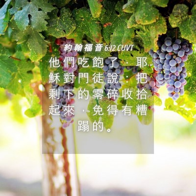 Picture 04 - 約 翰 福 音 6:12 CUVT - 他 們 吃 飽 了 ， 耶 穌 對 門 徒 說 - Bible Verse Picture