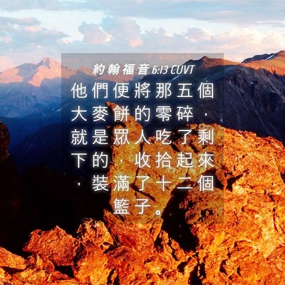 Picture 04 - 約 翰 福 音 6:13 CUVT - 他 們 便 將 那 五 個 大 麥 餅 的 零 - Bible Verse Picture
