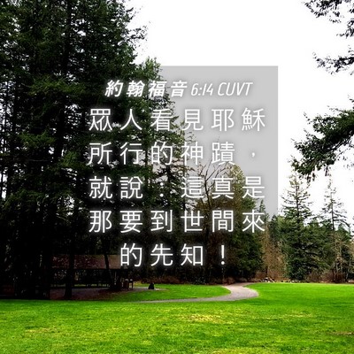 Picture 04 - 約 翰 福 音 6:14 CUVT - 眾 人 看 見 耶 穌 所 行 的 神 蹟 ， - Bible Verse Picture