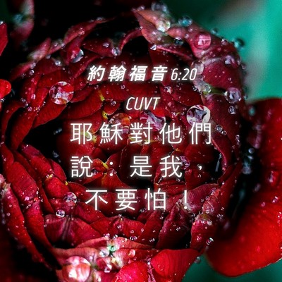 Picture 04 - 約 翰 福 音 6:20 CUVT - 耶 穌 對 他 們 說 ： 是 我 ， 不 要 - Bible Verse Picture