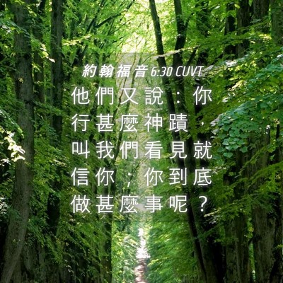 Picture 04 - 約 翰 福 音 6:30 CUVT - 他 們 又 說 ： 你 行 甚 麼 神 蹟 ， - Bible Verse Picture