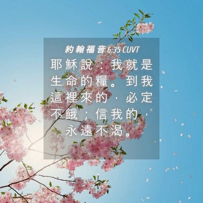 Picture 04 - 約 翰 福 音 6:35 CUVT - 耶 穌 說 ： 我 就 是 生 命 的 糧 。 - Bible Verse Picture