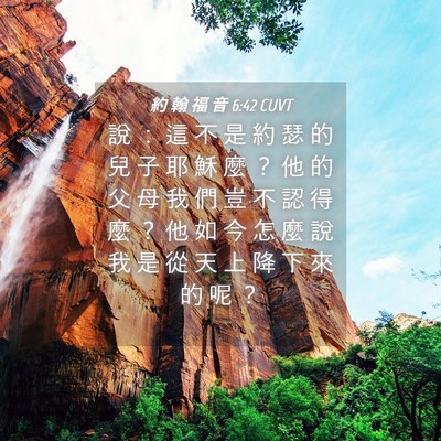 Picture 04 - 約 翰 福 音 6:42 CUVT - 說 ： 這 不 是 約 瑟 的 兒 子 耶 穌 - Bible Verse Picture