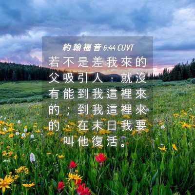 Picture 04 - 約 翰 福 音 6:44 CUVT - 若 不 是 差 我 來 的 父 吸 引 人 ， - Bible Verse Picture
