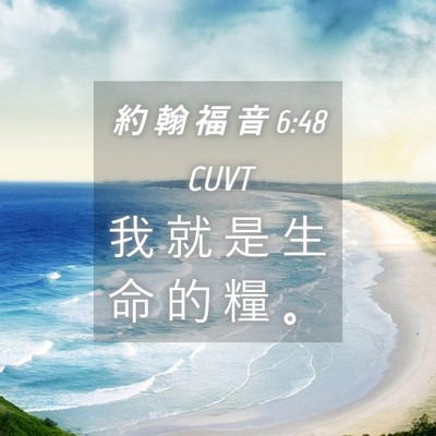 Picture 04 - 約 翰 福 音 6:48 CUVT - 我 就 是 生 命 的 糧 - Bible Verse Picture