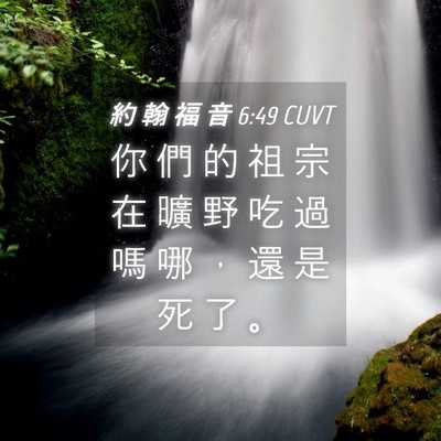 Picture 04 - 約 翰 福 音 6:49 CUVT - 你 們 的 祖 宗 在 曠 野 吃 過 嗎 哪 - Bible Verse Picture