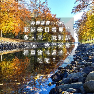 Picture 04 - 約 翰 福 音 6:5 CUVT - 耶 穌 舉 目 看 見 許 多 人 來 ， 就 - Bible Verse Picture