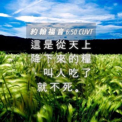 Picture 04 - 約 翰 福 音 6:50 CUVT - 這 是 從 天 上 降 下 來 的 糧 ， 叫 - Bible Verse Picture