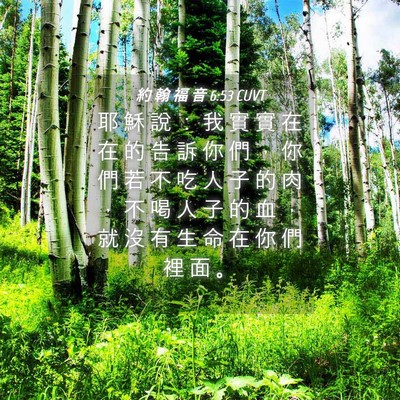 Picture 04 - 約 翰 福 音 6:53 CUVT - 耶 穌 說 ： 我 實 實 在 在 的 告 訴 - Bible Verse Picture