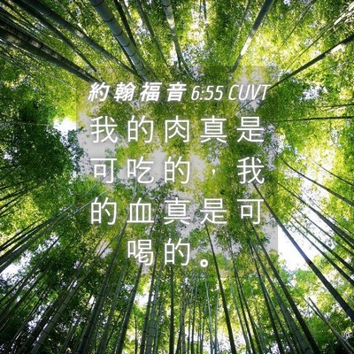 Picture 04 - 約 翰 福 音 6:55 CUVT - 我 的 肉 真 是 可 吃 的 ， 我 的 血 - Bible Verse Picture