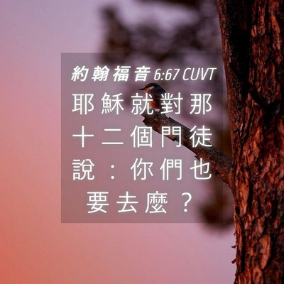 Picture 04 - 約 翰 福 音 6:67 CUVT - 耶 穌 就 對 那 十 二 個 門 徒 說 ： - Bible Verse Picture