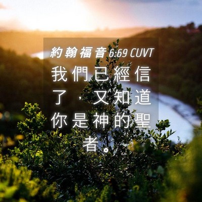 Picture 04 - 約 翰 福 音 6:69 CUVT - 我 們 已 經 信 了 ， 又 知 道 你 是 - Bible Verse Picture