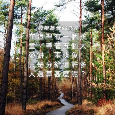 Picture 04 - 約 翰 福 音 6:9 CUVT - 在 這 裡 有 一 個 孩 童 ， 帶 著 五 - Bible Verse Picture