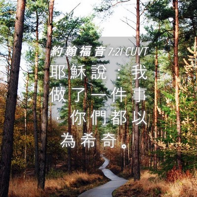 Picture 04 - 約 翰 福 音 7:21 CUVT - 耶 穌 說 ： 我 做 了 一 件 事 ， 你 - Bible Verse Picture