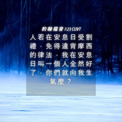 Picture 04 - 約 翰 福 音 7:23 CUVT - 人 若 在 安 息 日 受 割 禮 ， 免 得 - Bible Verse Picture