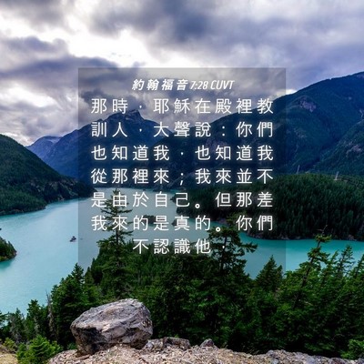 Picture 04 - 約 翰 福 音 7:28 CUVT - 那 時 ， 耶 穌 在 殿 裡 教 訓 人 ， - Bible Verse Picture