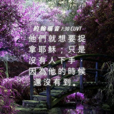 Picture 04 - 約 翰 福 音 7:30 CUVT - 他 們 就 想 要 捉 拿 耶 穌 ； 只 是 - Bible Verse Picture