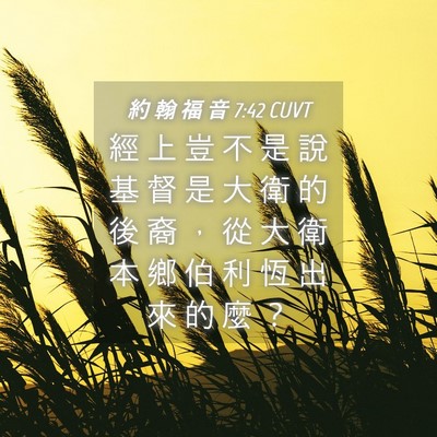 Picture 04 - 約 翰 福 音 7:42 CUVT - 經 上 豈 不 是 說 基 督 是 大 衛 的 - Bible Verse Picture
