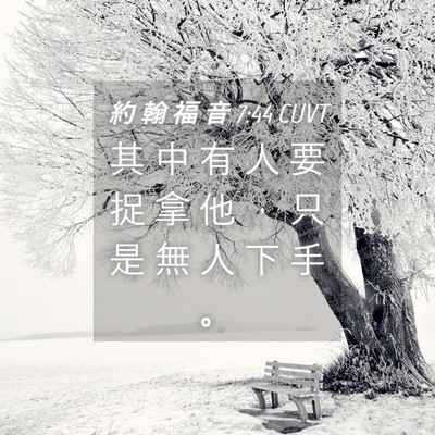 Picture 04 - 約 翰 福 音 7:44 CUVT - 其 中 有 人 要 捉 拿 他 ， 只 是 無 - Bible Verse Picture