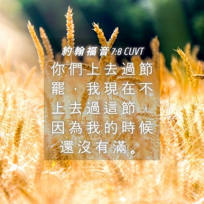 Picture 04 - 約 翰 福 音 7:8 CUVT - 你 們 上 去 過 節 罷 ， 我 現 在 不 - Bible Verse Picture