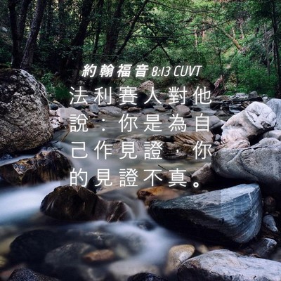 Picture 04 - 約 翰 福 音 8:13 CUVT - 法 利 賽 人 對 他 說 ： 你 是 為 自 - Bible Verse Picture
