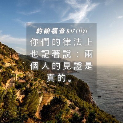 Picture 04 - 約 翰 福 音 8:17 CUVT - 你 們 的 律 法 上 也 記 著 說 ： 兩 - Bible Verse Picture