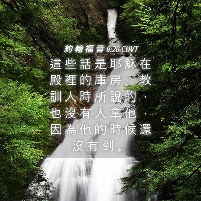 Picture 04 - 約 翰 福 音 8:20 CUVT - 這 些 話 是 耶 穌 在 殿 裡 的 庫 房 - Bible Verse Picture